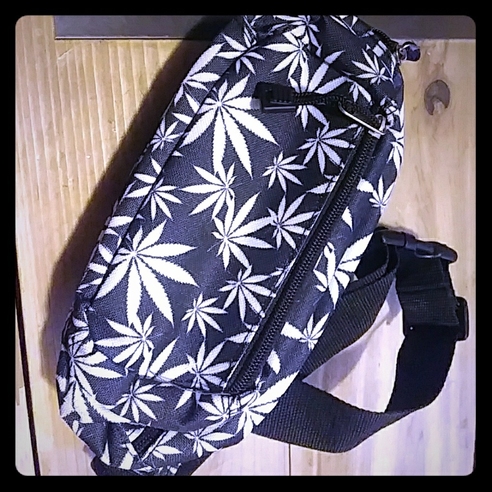 Fanny pack / purse